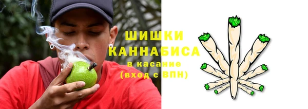 a pvp Абаза