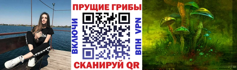 гидра ССЫЛКА  продажа наркотиков  Вичуга  Псилоцибиновые грибы Magic Shrooms 